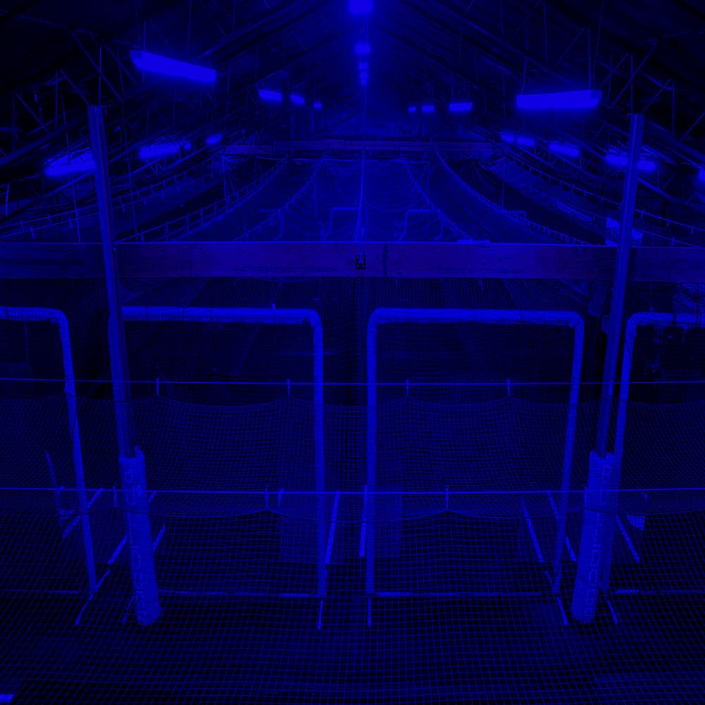 A training facility running on Athlos